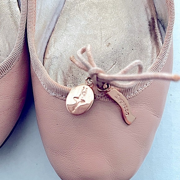 Repetto Cecile Embellished Ballet Flat - Picture 6 of 13